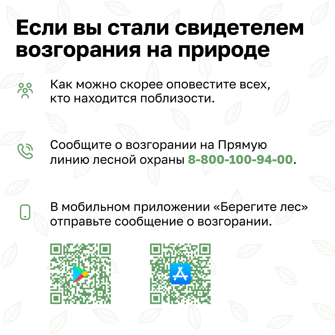 24.04.2024 Природные пожары | Администрация Первомайского муниципального  района Нижегородской области